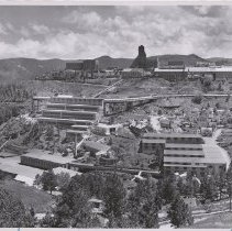 Homestake Mining Company